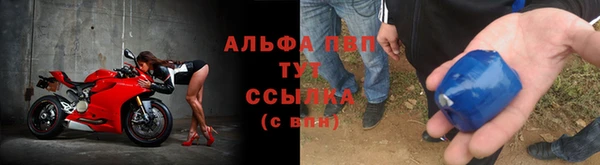 крисы Вязники