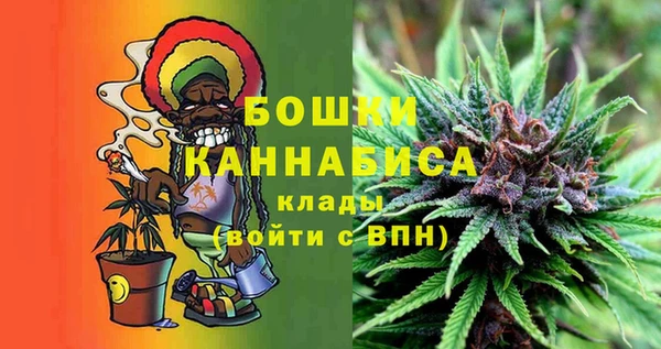 метадон Вяземский