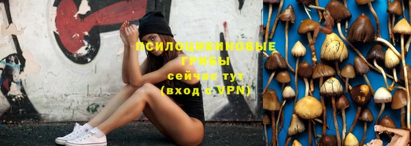 крисы Вязники