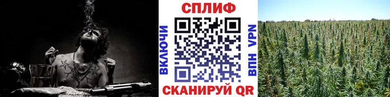 Бошки марихуана индика  сайты даркнета как зайти  Лихославль  купить  сайты 
